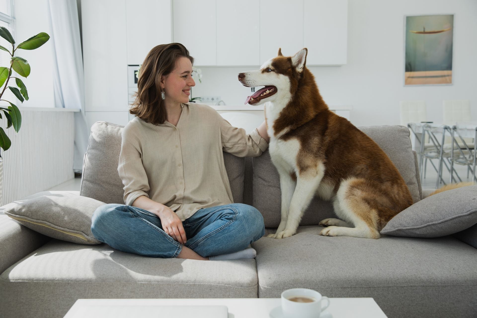 Article: Comprendre la dysplasie de la hanche