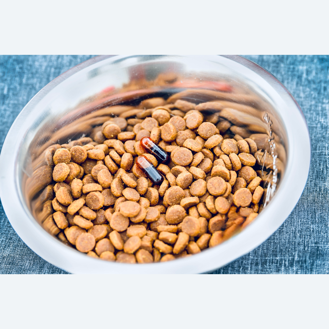 Nutreal Antarctica Omega Krill - compléments peau et articulations dans la gamelle 