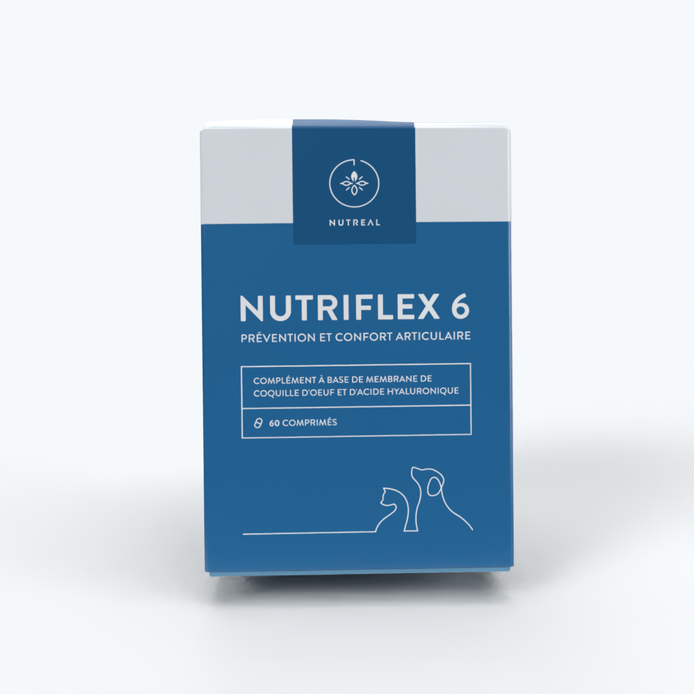 NUTRIFLEX 6