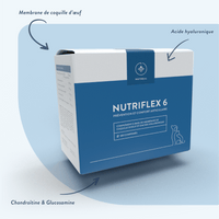 Nutriflex 6