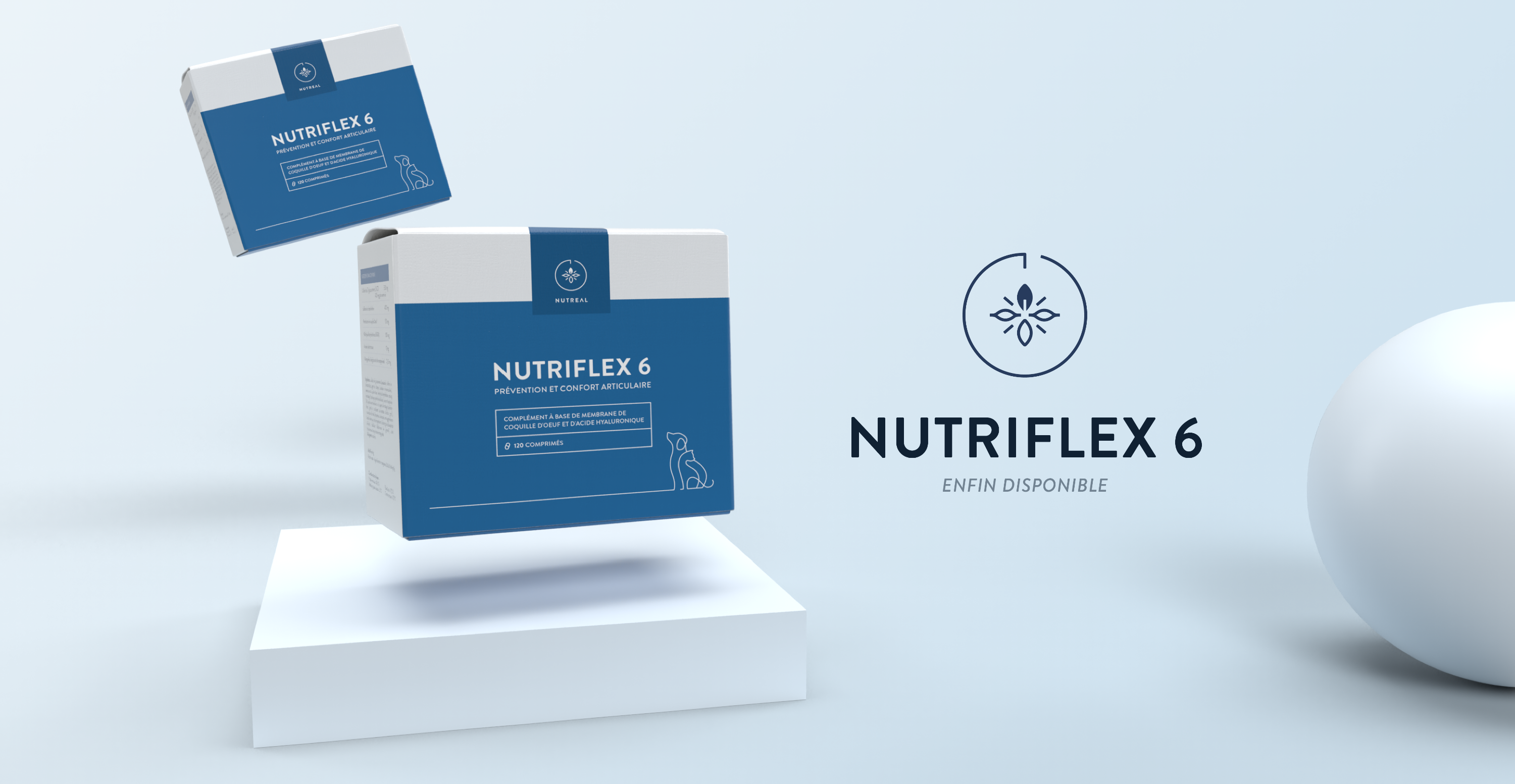 Boîtes de Nutriflex 6