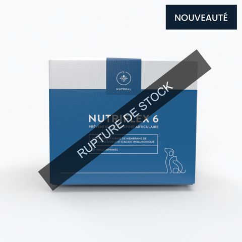 Nutriflex 6