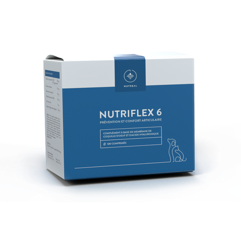 NUTRIFLEX 6